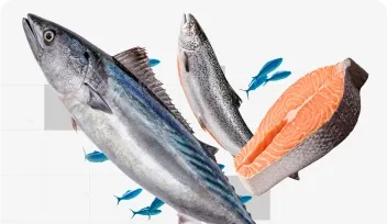 karantina/ikan.webp